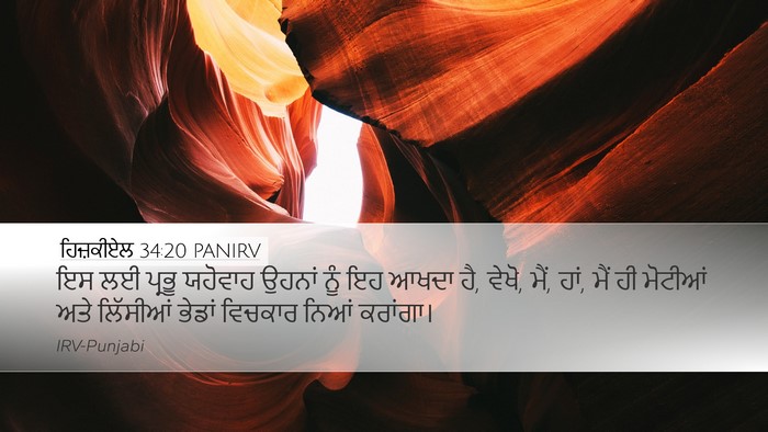 ਹਿਜ਼ਕੀਏਲ 34:20 PANIRV Bible Verse Image