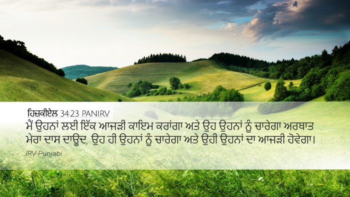 ਹਿਜ਼ਕੀਏਲ 34:23 PANIRV Bible Verse Image