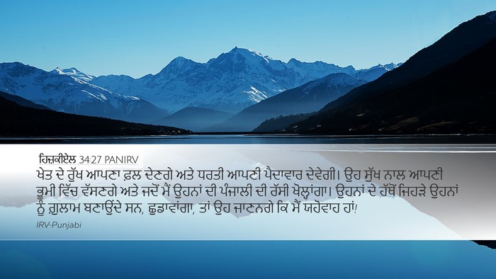 ਹਿਜ਼ਕੀਏਲ 34:27 PANIRV Bible Verse Image