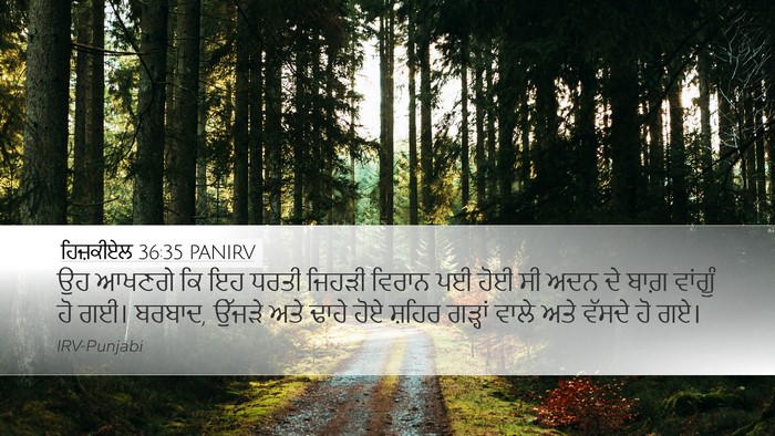 ਹਿਜ਼ਕੀਏਲ 36:35 PANIRV Bible Verse Image
