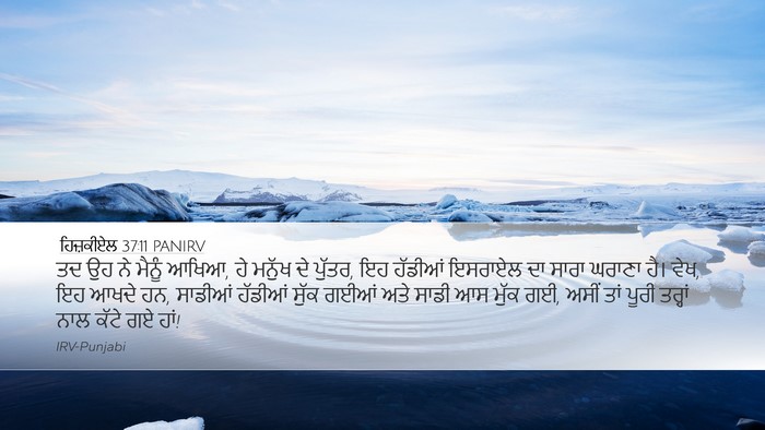 ਹਿਜ਼ਕੀਏਲ 37:11 PANIRV Bible Verse Image