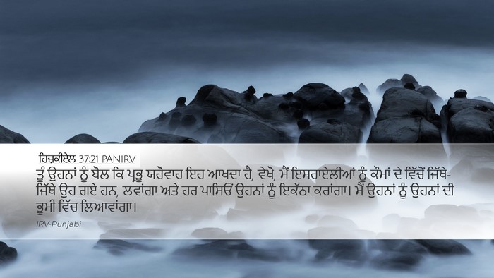 ਹਿਜ਼ਕੀਏਲ 37:21 PANIRV Bible Verse Image
