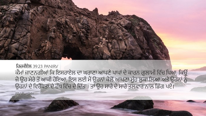 ਹਿਜ਼ਕੀਏਲ 39:23 PANIRV Bible Verse Image