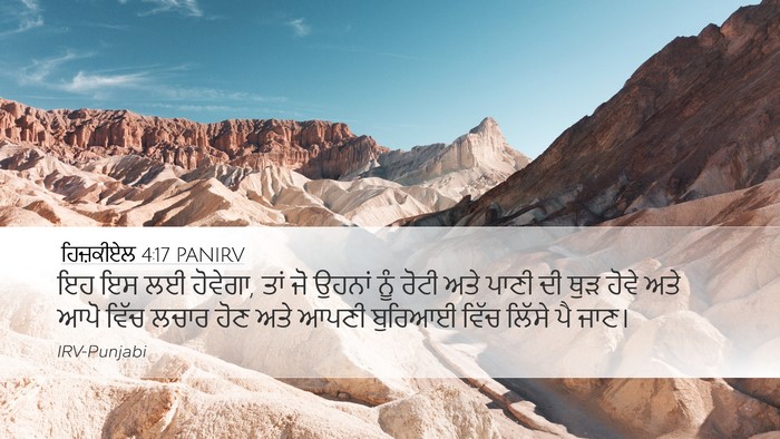 ਹਿਜ਼ਕੀਏਲ 4:17 PANIRV Bible Verse Image