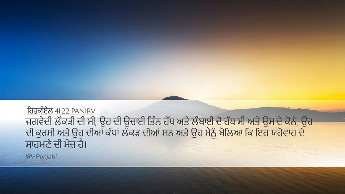 ਹਿਜ਼ਕੀਏਲ 41:22 PANIRV Bible Verse Image
