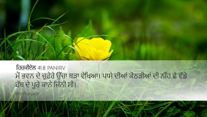 ਹਿਜ਼ਕੀਏਲ 41:8 PANIRV Desktop Wallpaper - ਮੈਂ ਭਵਨ ਦੇ ਚੁਫ਼ੇਰੇ - Desktop Bible Verse Wallpaper
