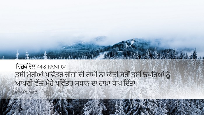 ਹਿਜ਼ਕੀਏਲ 44:8 PANIRV Bible Verse Image