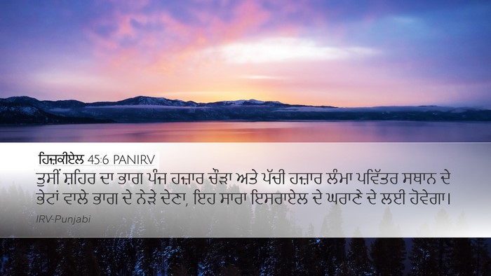 ਹਿਜ਼ਕੀਏਲ 45:6 PANIRV Bible Verse Image