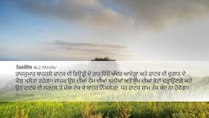 ਹਿਜ਼ਕੀਏਲ 46:2 PANIRV Bible Verse Image