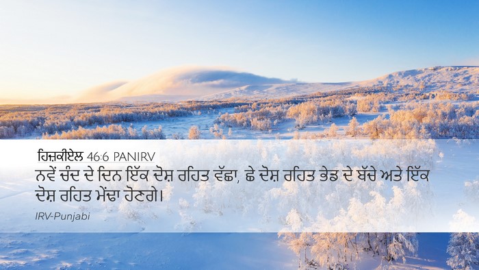 ਹਿਜ਼ਕੀਏਲ 46:6 PANIRV Bible Verse Image