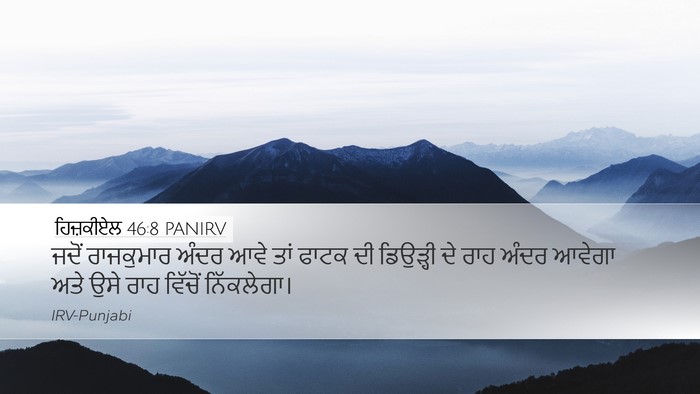 ਹਿਜ਼ਕੀਏਲ 46:8 PANIRV Bible Verse Image