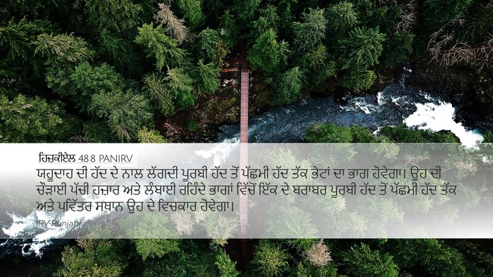 ਹਿਜ਼ਕੀਏਲ 48:8 PANIRV Bible Verse Image