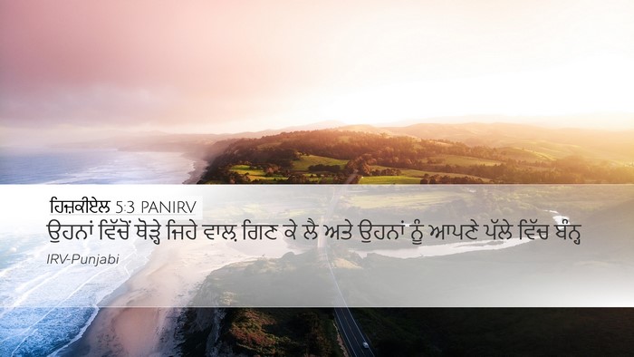 ਹਿਜ਼ਕੀਏਲ 5:3 PANIRV Bible Verse Image
