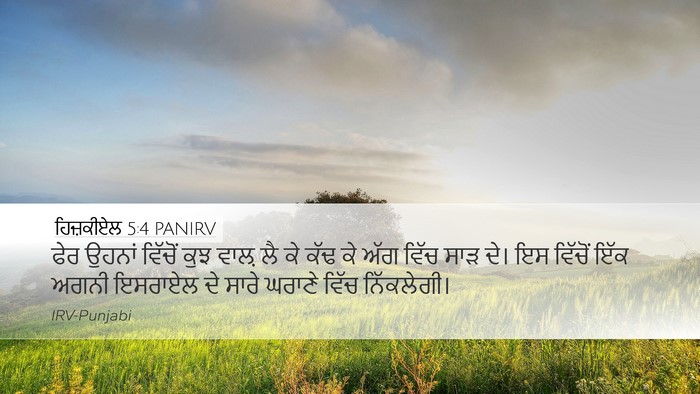 ਹਿਜ਼ਕੀਏਲ 5:4 PANIRV Bible Verse Image