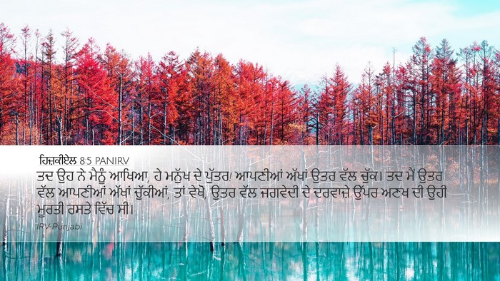 ਹਿਜ਼ਕੀਏਲ 8:5 PANIRV Bible Verse Image