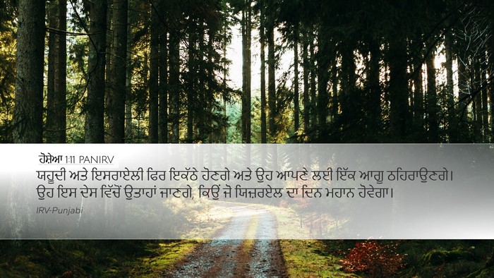ਹੋਸ਼ੇਆ 1:11 PANIRV Bible Verse Image