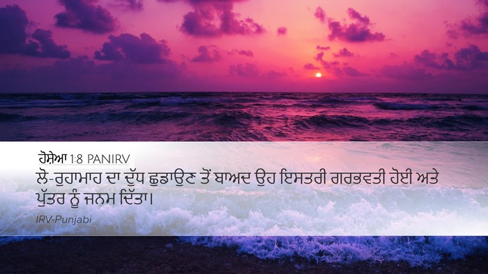 ਹੋਸ਼ੇਆ 1:8 PANIRV Desktop Wallpaper - ਲੋ-ਰੁਹਾਮਾਹ ਦਾ ਦੁੱਧ - Desktop Bible Verse Wallpaper