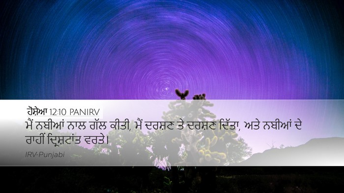 ਹੋਸ਼ੇਆ 12:10 PANIRV Bible Verse Image