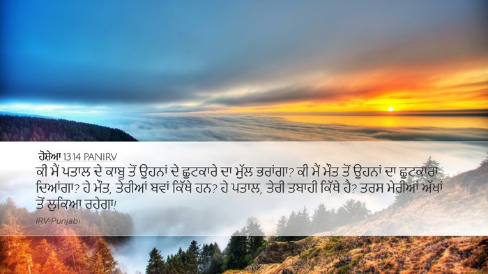 ਹੋਸ਼ੇਆ 13:14 PANIRV Bible Verse Image