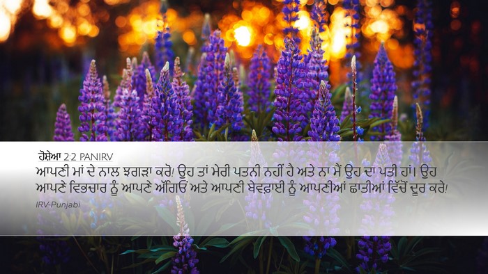 ਹੋਸ਼ੇਆ 2:2 PANIRV Bible Verse Image