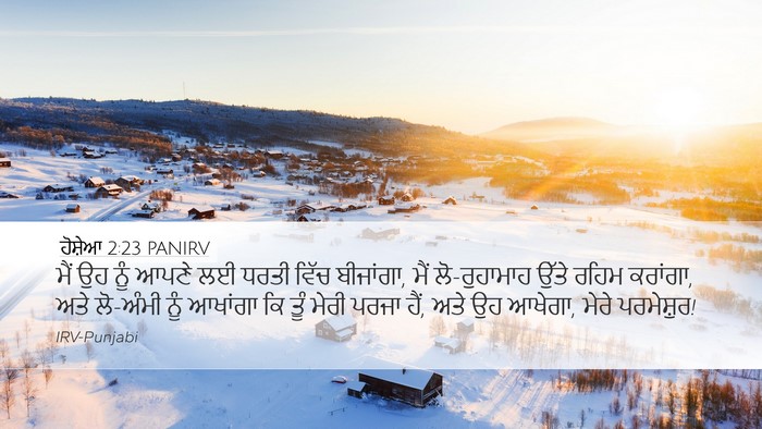 ਹੋਸ਼ੇਆ 2:23 PANIRV Bible Verse Image