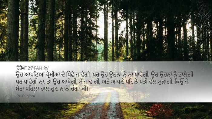 ਹੋਸ਼ੇਆ 2:7 PANIRV Bible Verse Image