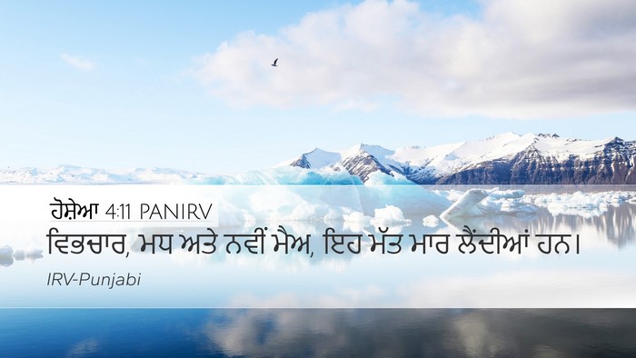 ਹੋਸ਼ੇਆ 4:11 PANIRV Bible Verse Image