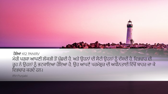 ਹੋਸ਼ੇਆ 4:12 PANIRV Bible Verse Image