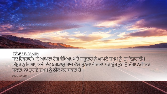 ਹੋਸ਼ੇਆ 5:13 PANIRV Bible Verse Image