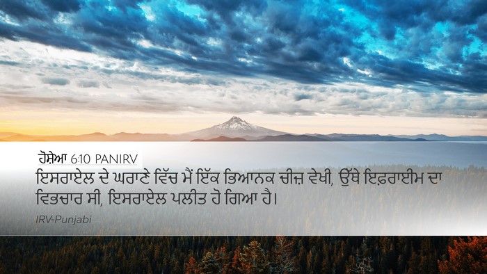 ਹੋਸ਼ੇਆ 6:10 PANIRV Bible Verse Image