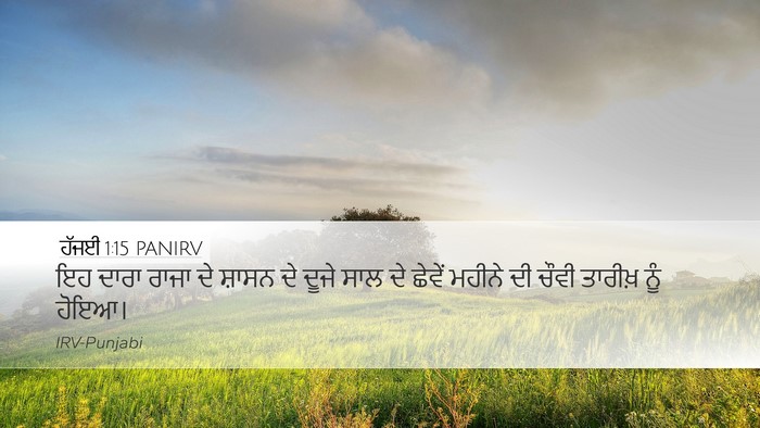 ਹੱਜਈ 1:15 PANIRV Bible Verse Image
