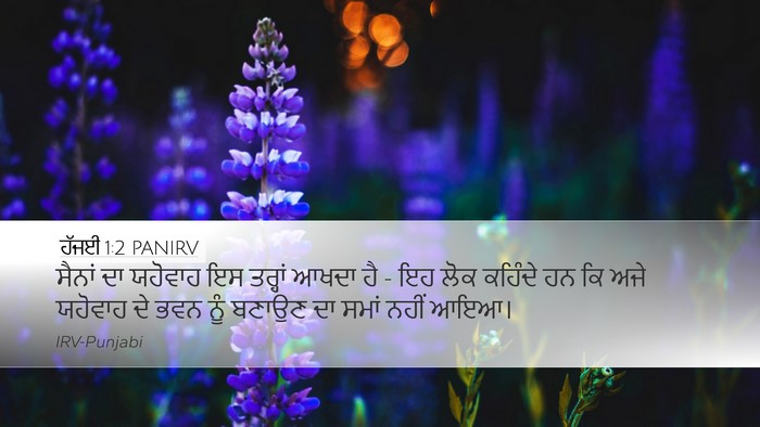ਹੱਜਈ 1:2 PANIRV Bible Verse Image