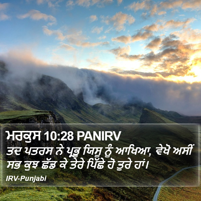 ਮਰਕੁਸ 10:28 PANIRV - ਤਦ ਪਤਰਸ ਨੇ ਪ੍ਰਭੂ