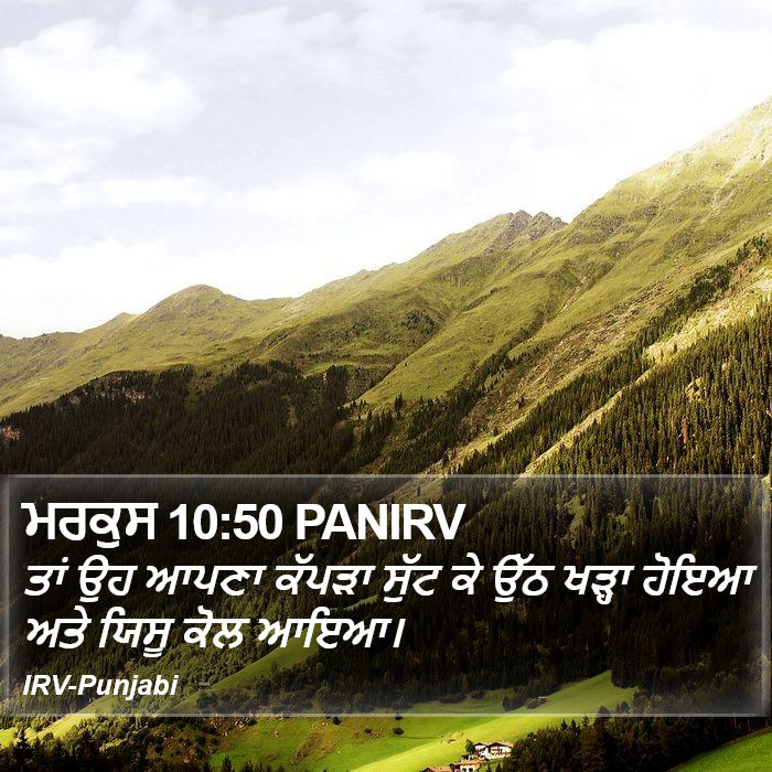 ਮਰਕੁਸ 10:50 PANIRV - ਤਾਂ ਉਹ ਆਪਣਾ ਕੱਪੜਾ