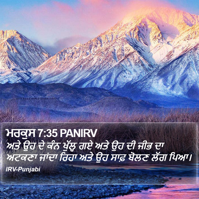 ਮਰਕੁਸ 7:35 PANIRV - ਅਤੇ ਉਹ ਦੇ ਕੰਨ