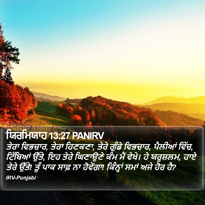 ਯਿਰਮਿਯਾਹ 13:27 PANIRV - ਤੇਰਾ ਵਿਭਚਾਰ, ਤੇਰਾ