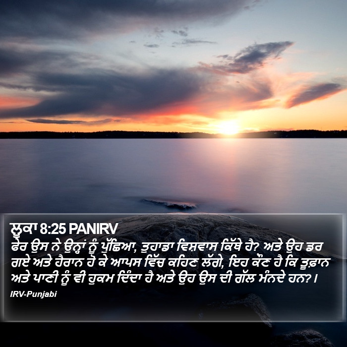 ਲੂਕਾ 8:25 PANIRV - ਫੇਰ ਉਸ ਨੇ ਉਨ੍ਹਾਂ