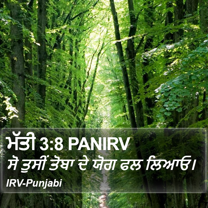 ਮੱਤੀ 3:8 PANIRV - ਸੋ ਤੁਸੀਂ ਤੋਬਾ ਦੇ - Bible Verse Picture