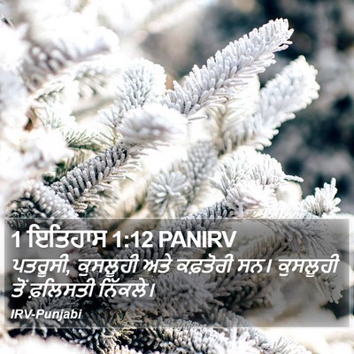 1 ਇਤਿਹਾਸ 1:12 PANIRV Bible Verse Image