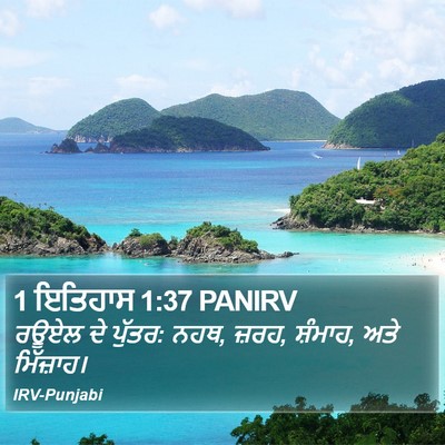 1 ਇਤਿਹਾਸ 1:37 PANIRV Bible Verse Image