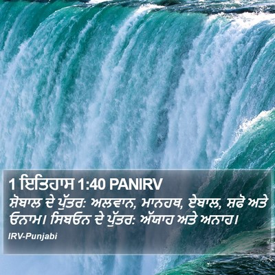 1 ਇਤਿਹਾਸ 1:40 PANIRV Bible Verse Image