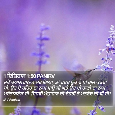 1 ਇਤਿਹਾਸ 1:50 PANIRV Bible Verse Image