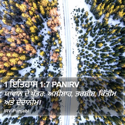 1 ਇਤਿਹਾਸ 1:7 PANIRV Bible Verse Image