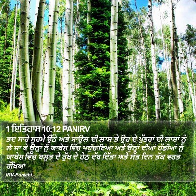 1 ਇਤਿਹਾਸ 10:12 PANIRV Bible Verse Image