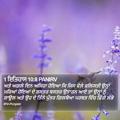 1 ਇਤਿਹਾਸ 10:8 PANIRV Bible Verse Image