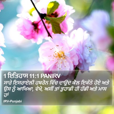 1 ਇਤਿਹਾਸ 11:1 PANIRV Bible Verse Image