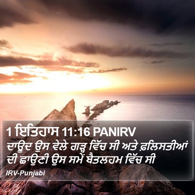 1 ਇਤਿਹਾਸ 11:16 PANIRV Bible Verse Image