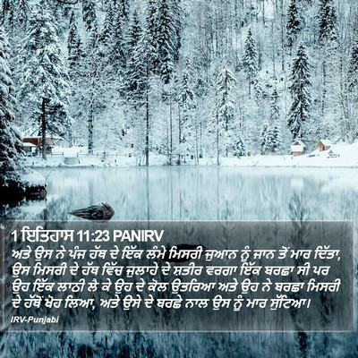 1 ਇਤਿਹਾਸ 11:23 PANIRV Bible Verse Image