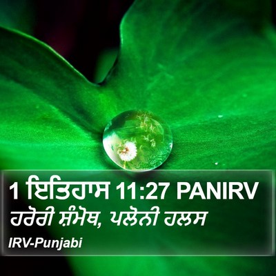1 ਇਤਿਹਾਸ 11:27 PANIRV Bible Verse Image