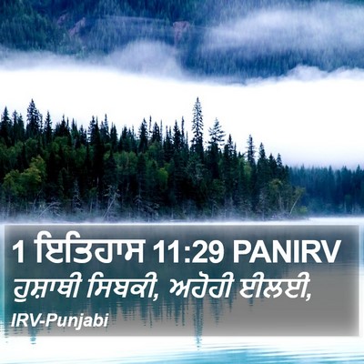 1 ਇਤਿਹਾਸ 11:29 PANIRV Bible Verse Image